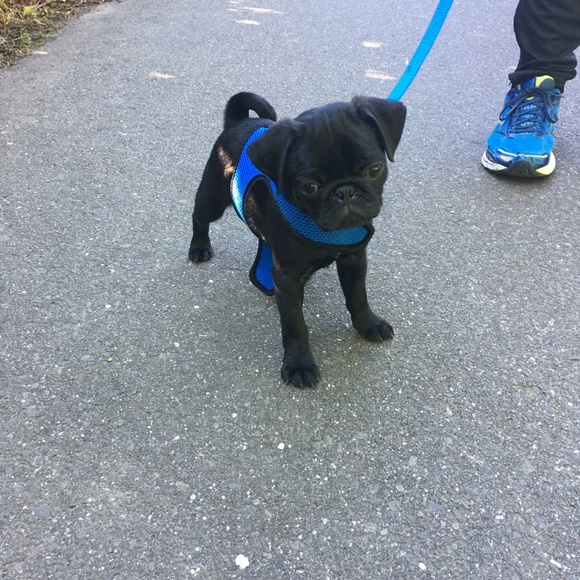 Meet your Posher, Vanessa - Picture 7 of 7